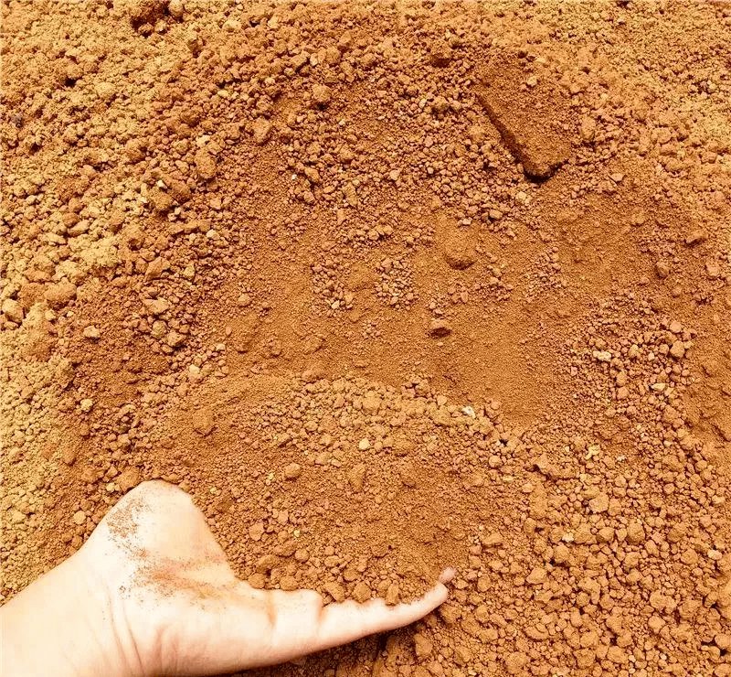 loess sediment in the Yellow River why it looks yellow