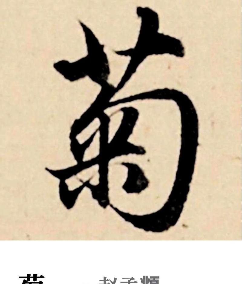 chinese calligraphy beautiful flower names written elegantly